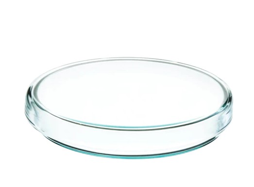 Чашка Петри, внеш.диам.100 мм х высота 15 мм, изготовлена из высококачественного селикатного стекла / Petri Dish, outer dia 100 x 15 mm height, made of high quality soda lime glass