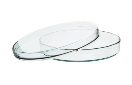 Чашка Петри, внеш.диам.100 мм х высота 17 мм, боросиликатное стекло  Petri Dish, outer dia 100 x 17 mm height, borosilicate glass