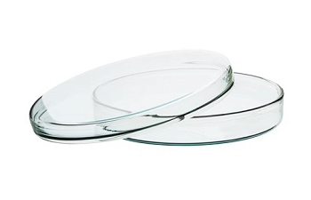 Чашка Петри, внеш.диам.100 мм х высота 17 мм, боросиликатное стекло  Petri Dish, outer dia 100 x 17 mm height, borosilicate glass