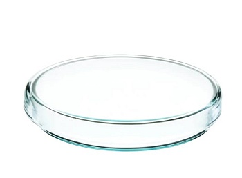 Чашка Петри, внеш.диам.100 мм х высота 15 мм, изготовлена из высококачественного селикатного стекла / Petri Dish, outer dia 100 x 15 mm height, made of high quality soda lime glass